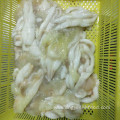 Frozen Illex Argentinus Squid Roes